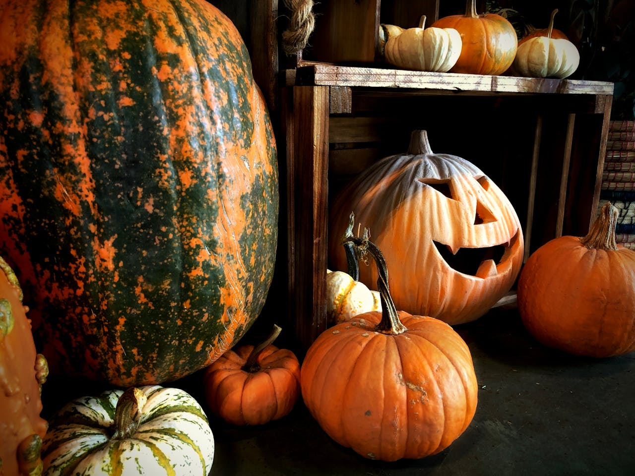 Halloween Pumpkins